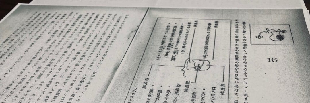 和歌山で人類学者が偶然出会ったすこし不思議な手書き原稿…。それは