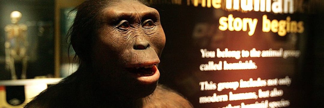 連れ立つように歩く2人の後を、3人目が続いていた…ラエトリの足跡化石