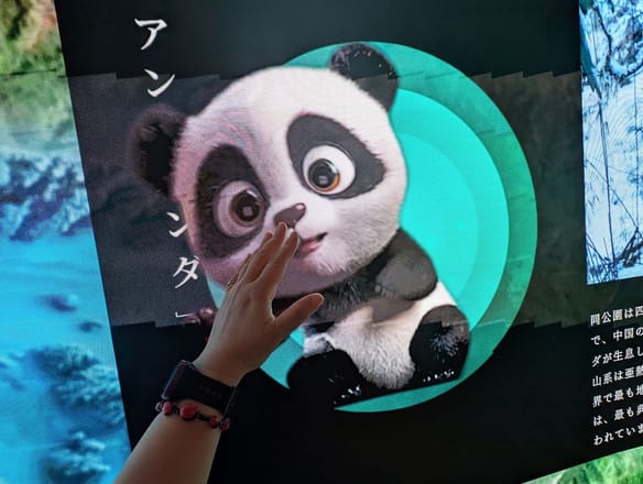 写真】【パンダマニア必見】大阪・関西万博「中国パビリオン」で