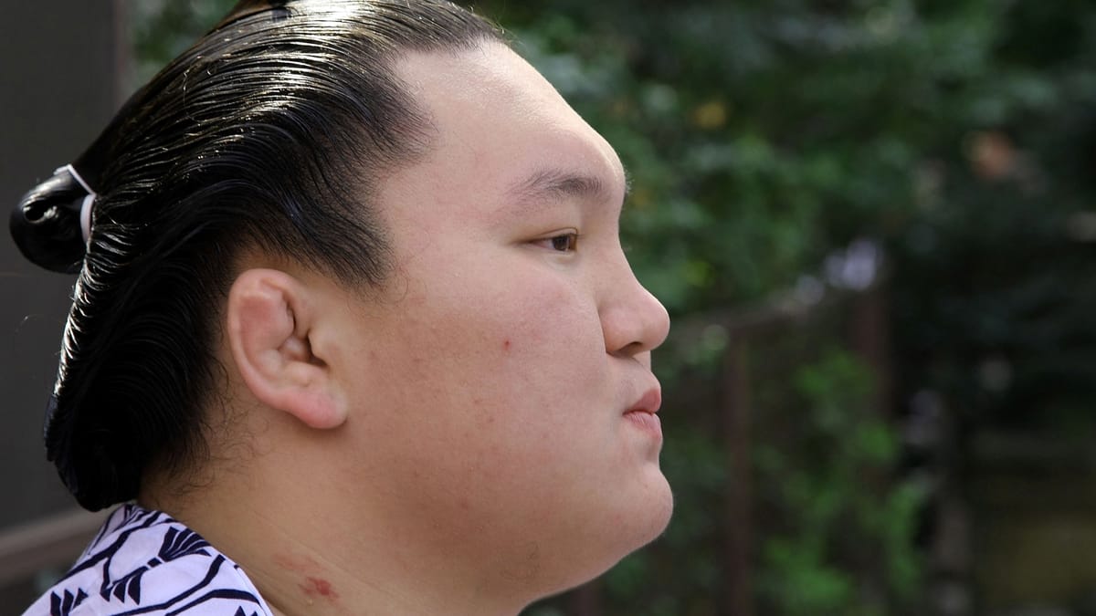 相撲 協会 苦情 殺到