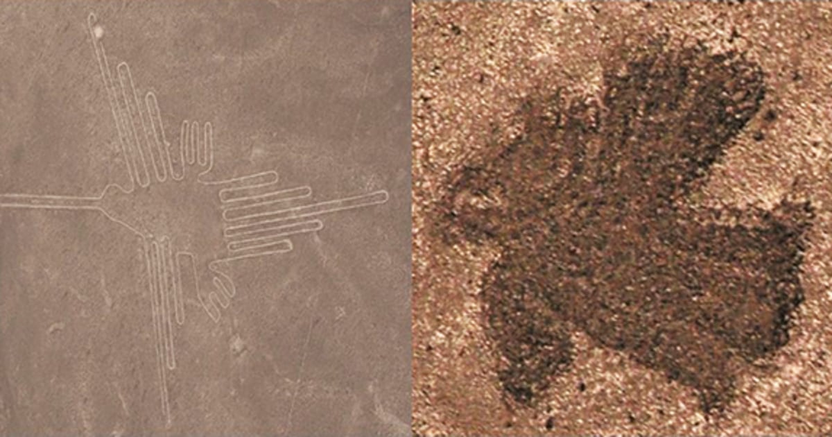 ナスカの地上絵」はどうやって描いたのか？ 山形大学の「最新研究」が