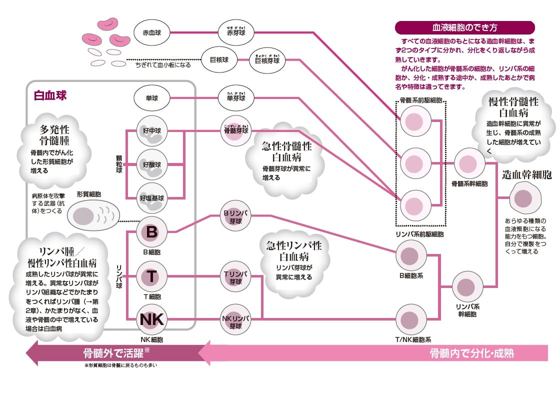 血液 の が ん 種類