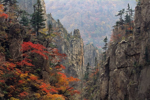 写真】北朝鮮の名勝「金剛山」が新たに「世界遺産」へ…ユネスコ登録