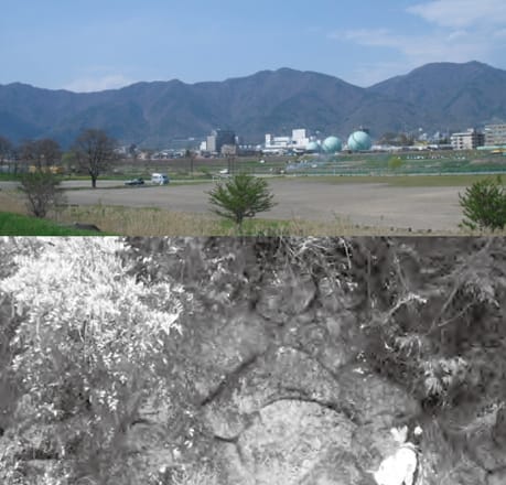 【写真】なんと、長野県で深海生物が泳いでいた…！北部フォッサマグナの地層から見えてきた日本列島「逆くの字の内側」で起きた激動の変化（藤岡 換 ...