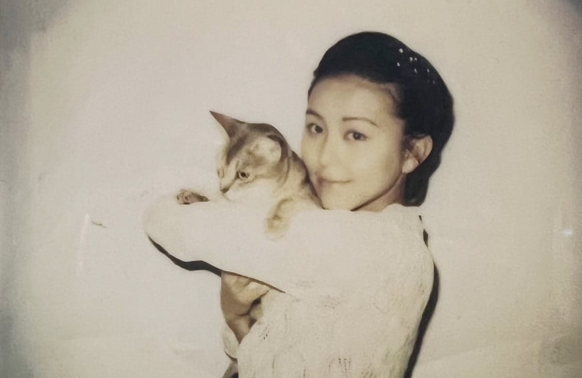 杉本 彩 猫