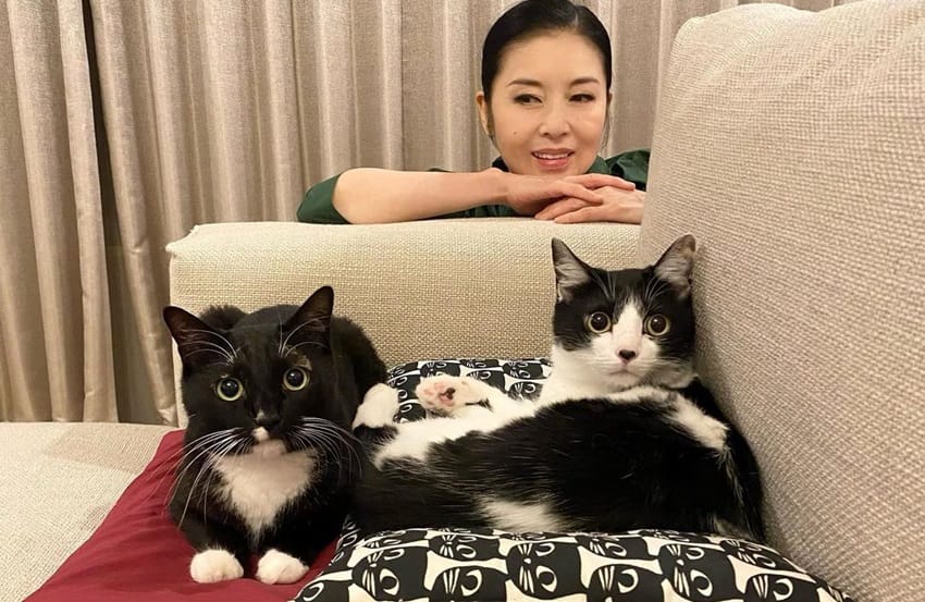 藤あや子がまとめ買いする秋田の「ローカルパン」…マルオレも驚く