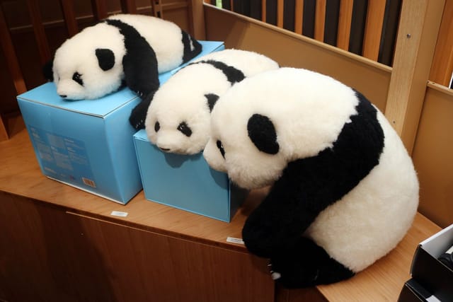 写真】【パンダマニア必見】大阪・関西万博「中国パビリオン」で