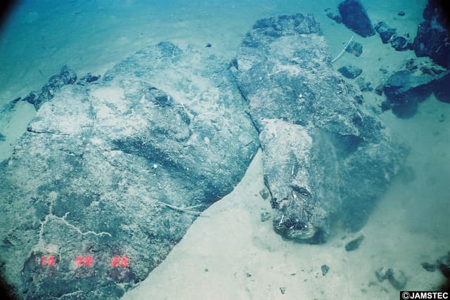 写真】マリアナ海溝で生命の限界を探る！生命研究の第一人者が現代の
