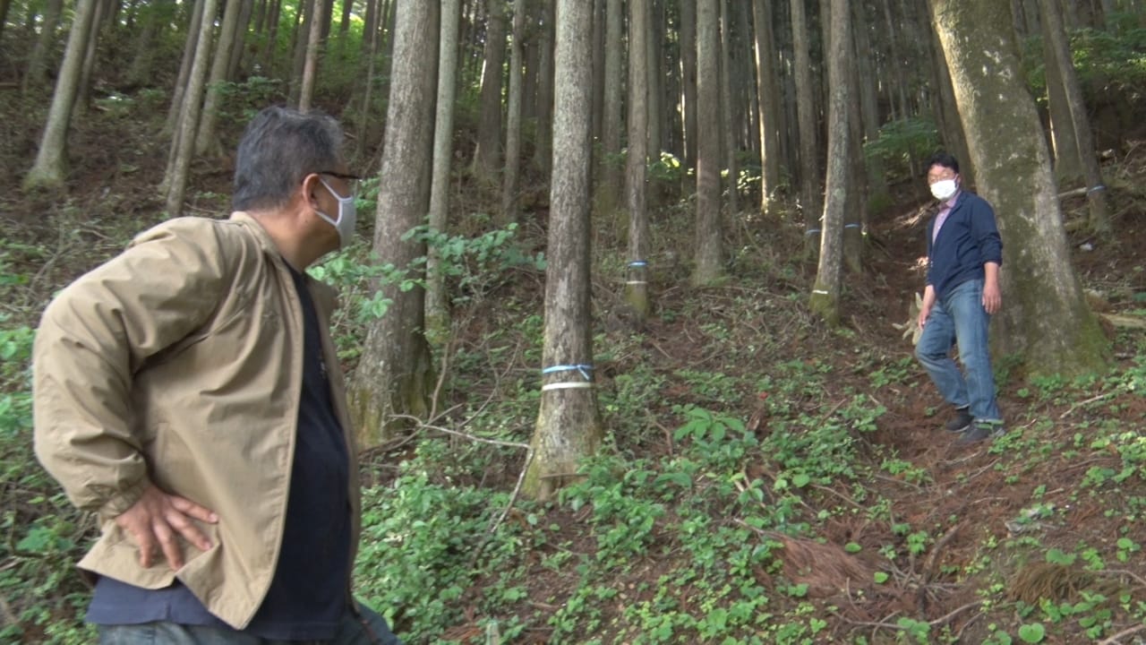 大川小学校 裏山に逃げた生徒