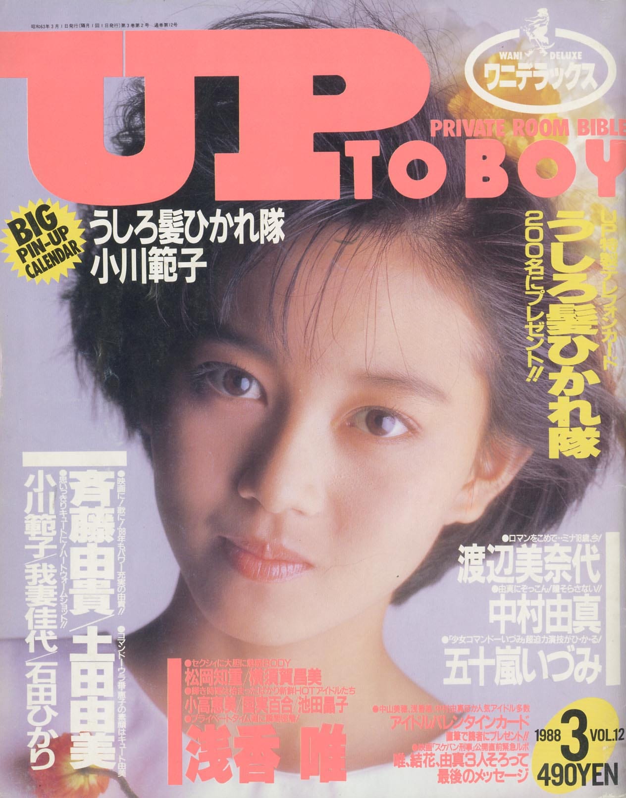 UP TO BOY vol.12