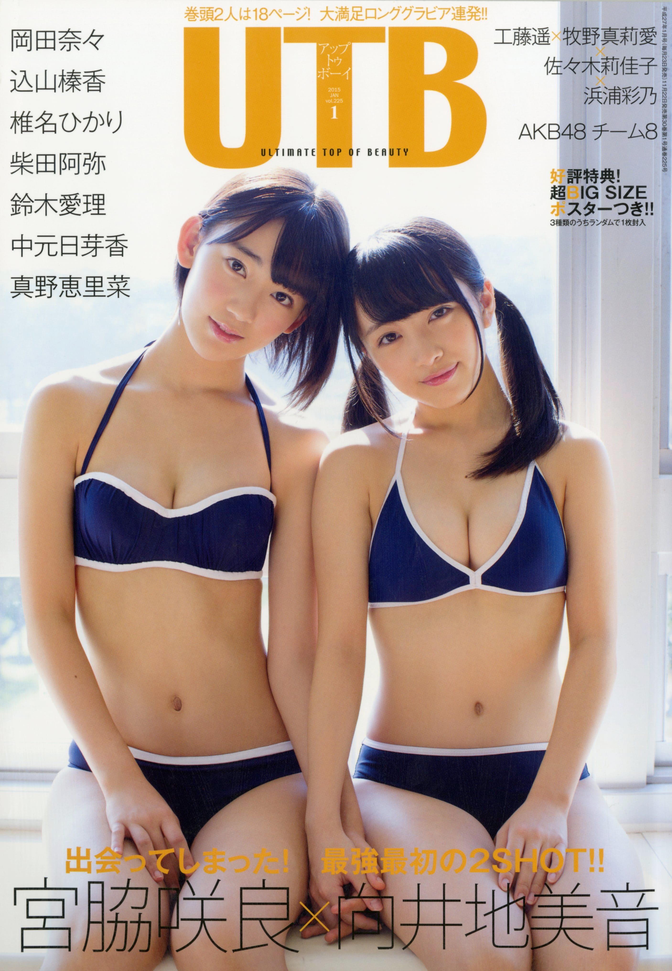 UTB vol.225