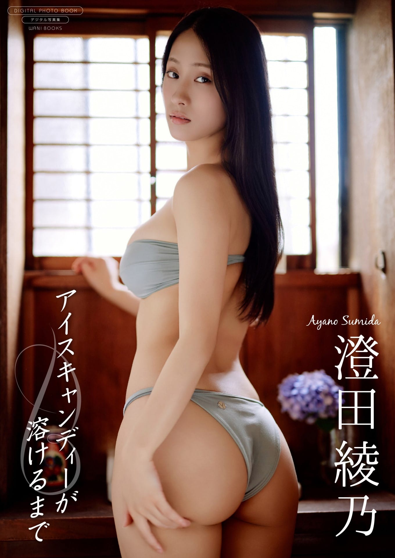 【デジタル限定】澄田綾乃 写真集 『 アイスキャンディーが溶けるまで 』